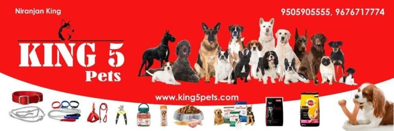 King 5 Pets
