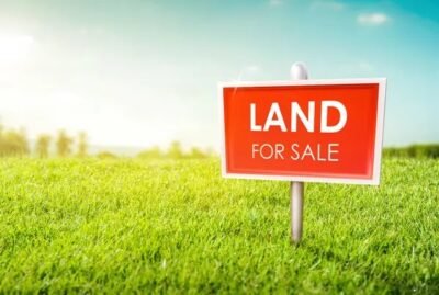 Gollala Mamidada (site for sale) in Gandredu