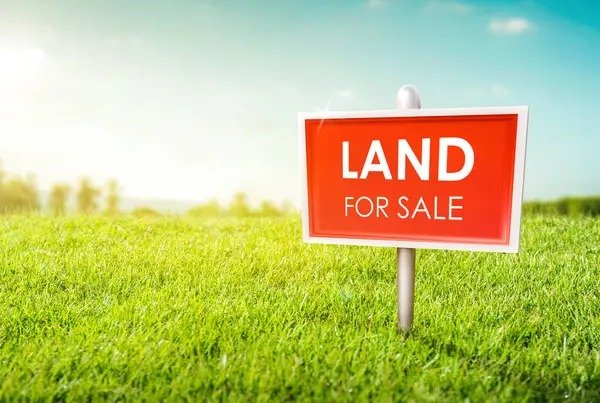 Gollala Mamidada (site for sale) in Gandredu
