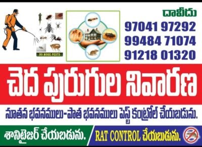 Pest control services