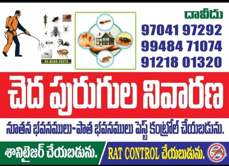 Pest control services