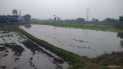 Agricultural Land for Sale in Thimmapuram – Jagananna Layout Area